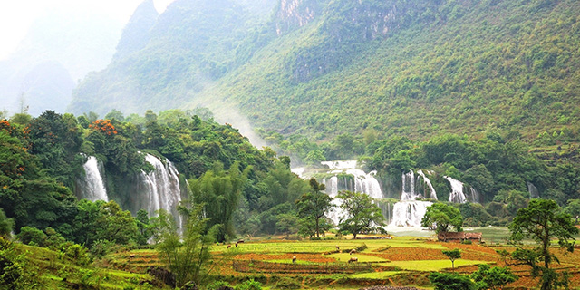 Vietnam-Landscape-crop.jpg